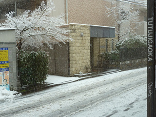 2012_0229.jpg