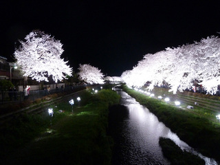 2014_0404_1.jpg