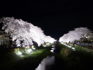 2014_0404_2.jpg